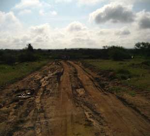 Kenia oder Ralley Dakar?