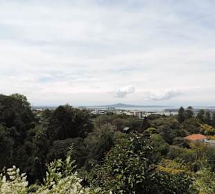 Eden Garden ein Paradies mitten in der Stadt