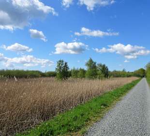 Rundgang um den Bederkesaer See