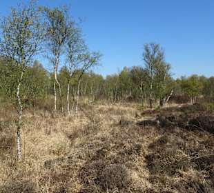 Impressionen aus der Gellener Torfmöörte