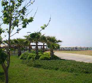 Wunderschönes Grün