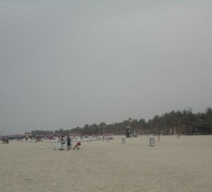 Jumeirah Beach Park