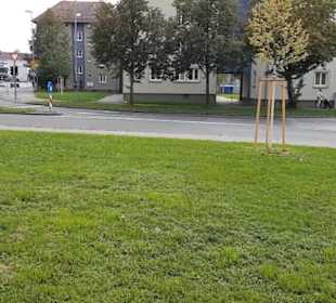 Brunnen unter den Linden
