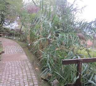 Botanischer Garten Bergamo