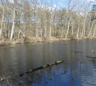 Bei einem Spaziergang am Sennfelder Seenkranz