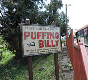 Hier geht es zum Dampfzug Puffing Billy