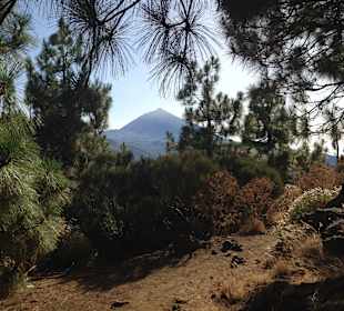 Blick auf den Teide