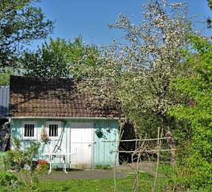 Gartenparadiese in der Dauerkolonie Annateich