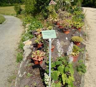 Botanischer Garten Berlin-Dahlem