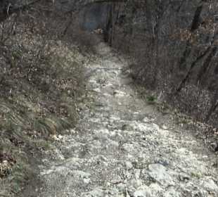 Fürstlicher Park Inzigkofen