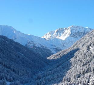 Ausblick