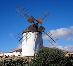 Die Windmühle des Museums