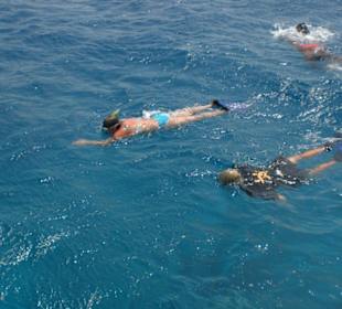 Auf die Plätze fertig los