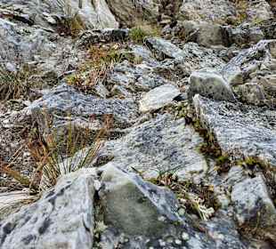 Wandern St. Veit in Defereggen