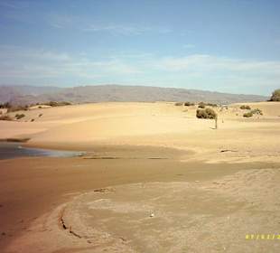 Dünen von Maspalomas