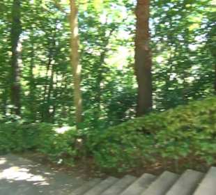 Schloss Lichtenwalde