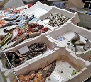 Rundgang zwischen den Auslagen des Mercato Civico