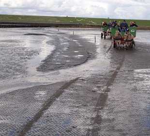 Nun sind wir im Watt