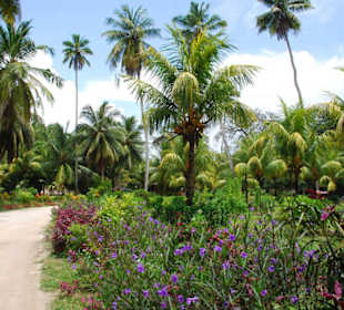Blühende Vielfalt auf der Farm