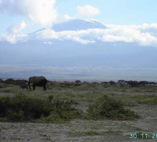 Abenddämmerung im Amboseli-Park