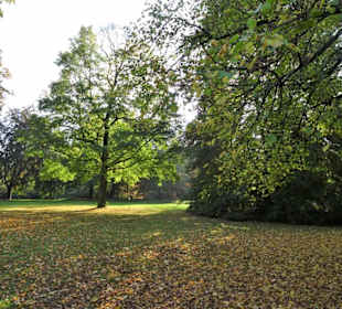 Impressionen vom Rundgang durch den Bürgerpark