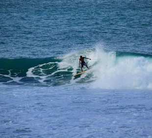 Bathsheba, Surfer