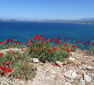 Bucht von Pylos, Navarino