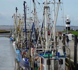 Impressionen aus dem Kutterhafen Wremen