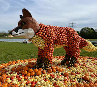 Krewelshof  Kürbisschau 2022 (Wundersame Waldwesen