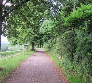 Auf dem Weg zur Landauer Hütte