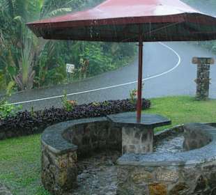 Tea Factory, Mahé, Seychellen