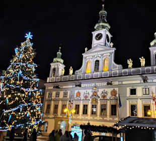 Rathaus mit Weihnachtsbaum