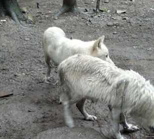 Zoo Olomouc