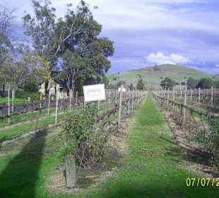 Fergusson Winery