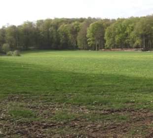 Wanderweg Hochgehswiggert