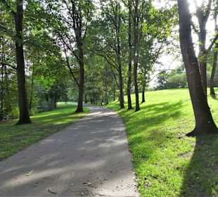 Frühherbst am Sodenmattsee
