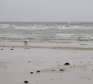 Strand Hörnum