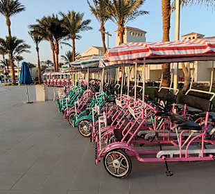 Sonstiges Pickalbatros Dana Beach Resort - Hurghada