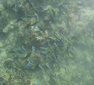 Unterwasser