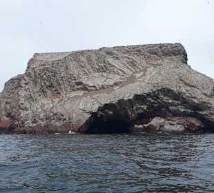 Ausflug Ballestas Inseln