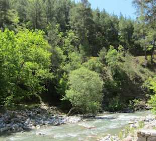 Sepadera Canyon Tour