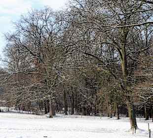 Winterspaziergang durch den Bürgerpark