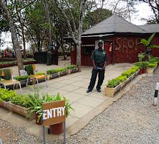 Eingang zum Giraffencenter