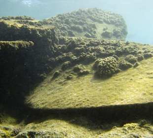 Schiffsschraube der Lovilla