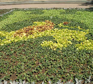 Герб города