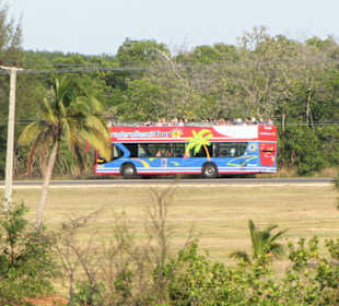 Hop on - Hop off Bus