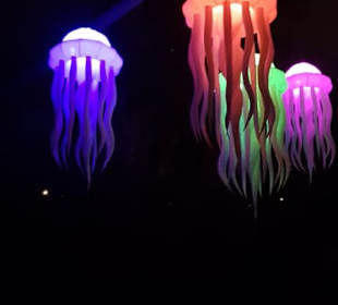 Leuchtende Traumpfade_