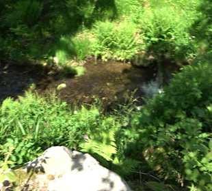 Wasserfälle Allerheiligen