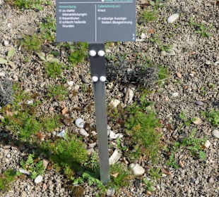 Erläuterungen der Kräuter