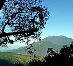 Ausblick 